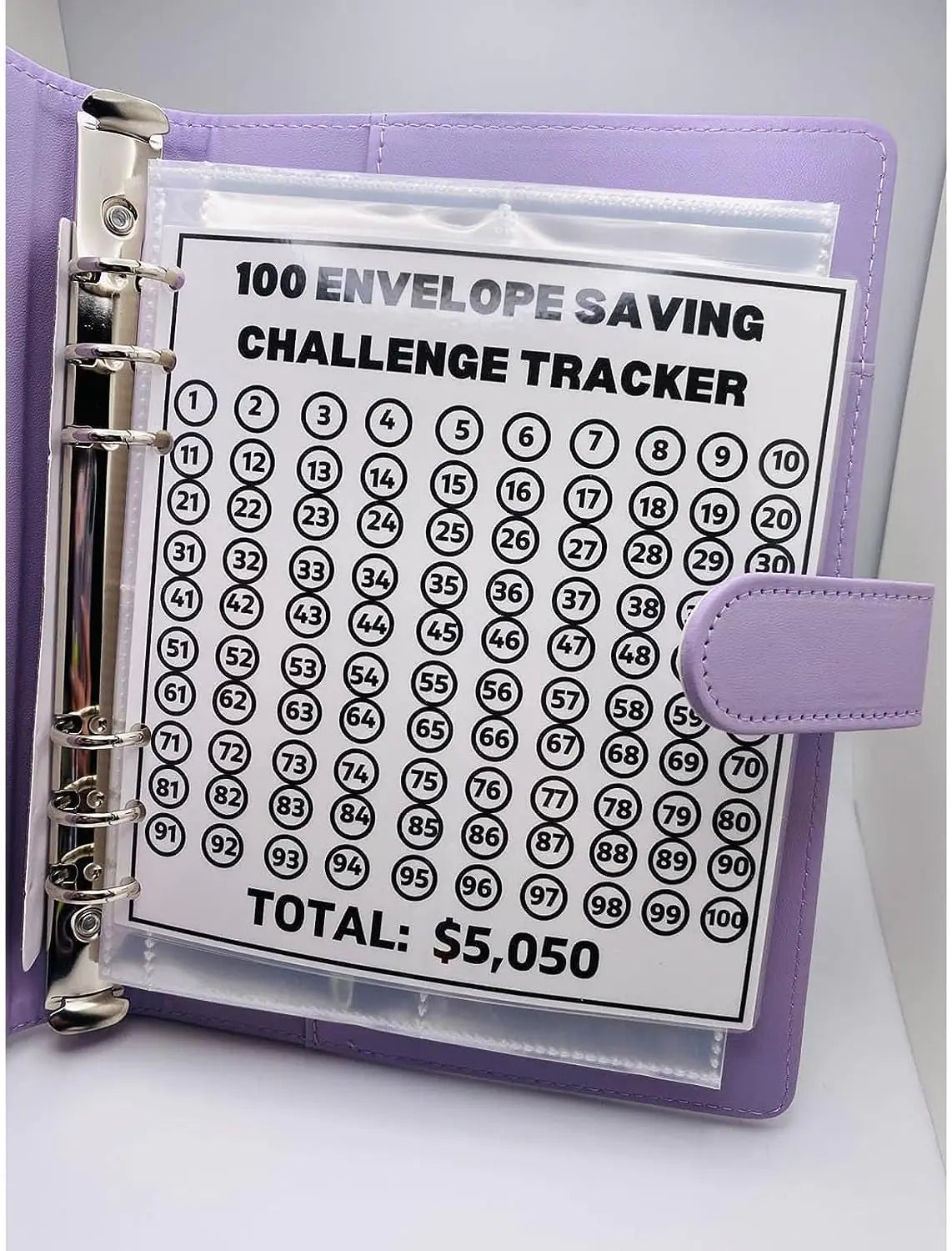 100 Envelope Savings Challenge Binder, Savings Challenge, Money Organizer, Budget Planner Book